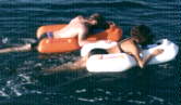 seeboard